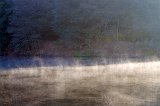 Evaporation Fog over a Pond, Ranthambore National Park