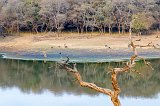 Malik Talao Lake, Ranthambore National Park