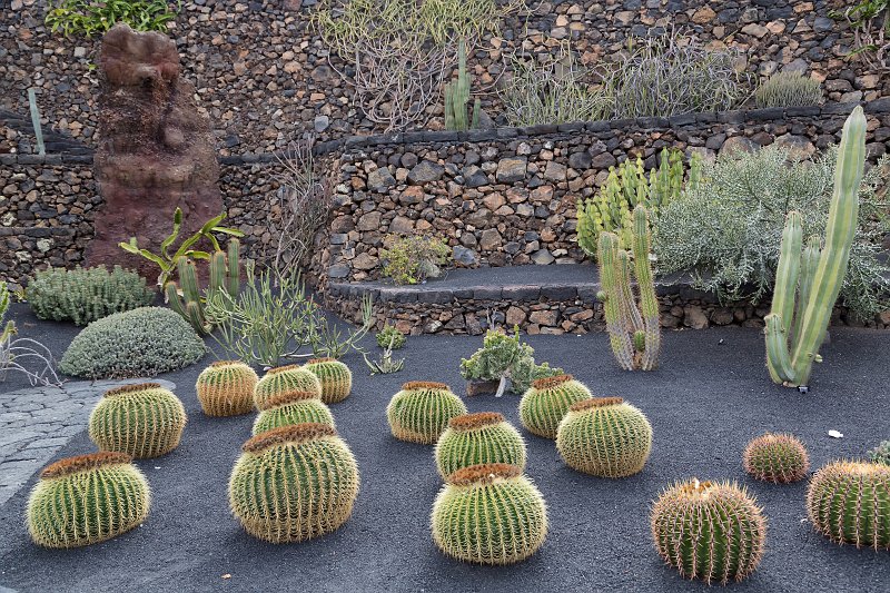 Jardín de Cactus, Guatiza, Lanzarote | Cactus Garden (Jardín de Cactus), Guatiza, Lanzarote (IMG_3475.jpg)