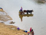 Zebu Cart and Women Laundering, Mandrare River, Anosy, Madagascar