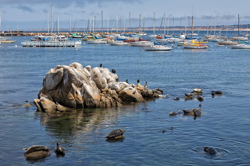 Monterey Harbor, Monterey, California | Monterey Downtown, California (IMG_6450.jpg)