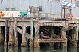 Fisherman's Wharf (Municipal Wharf #2), Monterey, California