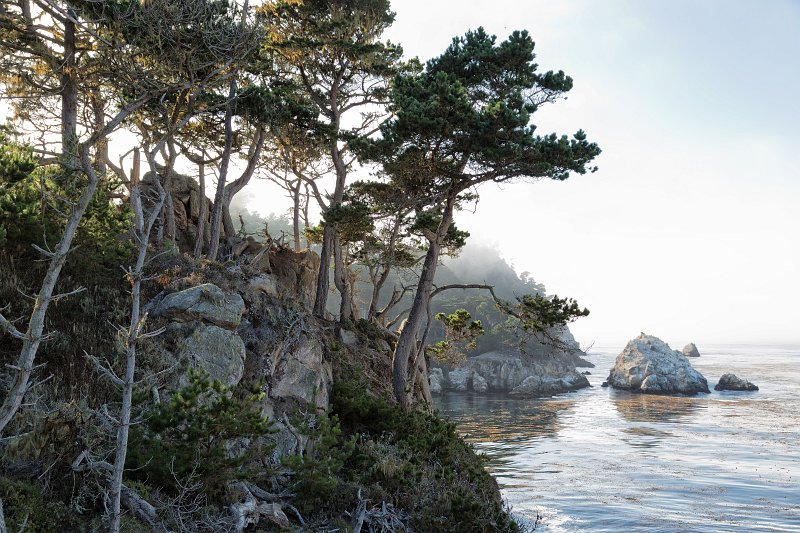 North Shore Trail, Point Lobos, California | Point Lobos Natural Reserve, California (IMG_4853.jpg)