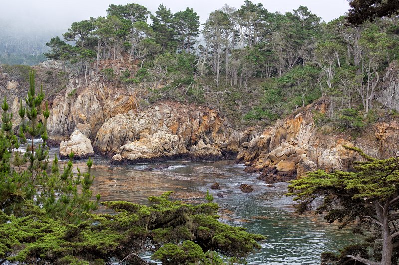 Bluefish Cove, Point Lobos, California | Point Lobos Natural Reserve, California (IMG_4899.jpg)