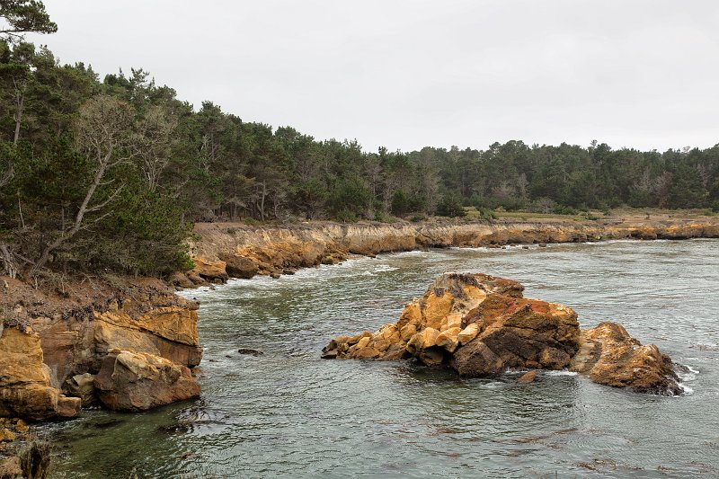 Whalers Cove, Point Lobos, California | Point Lobos Natural Reserve, California (IMG_6483.jpg)