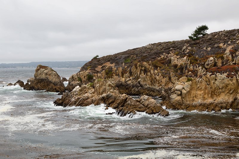 Granite Point Trail, Point Lobos, California | Point Lobos Natural Reserve, California (IMG_6490.jpg)