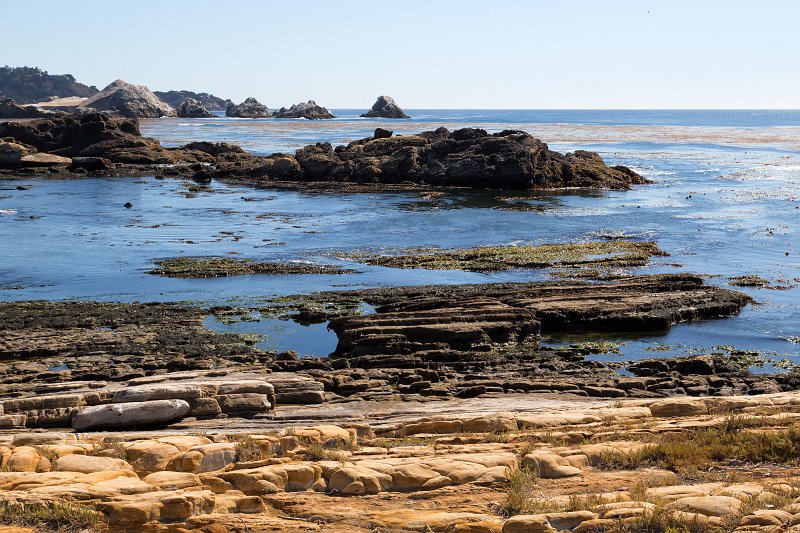Weston Beach, Point Lobos, California | Point Lobos Natural Reserve, California (IMG_6795.jpg)