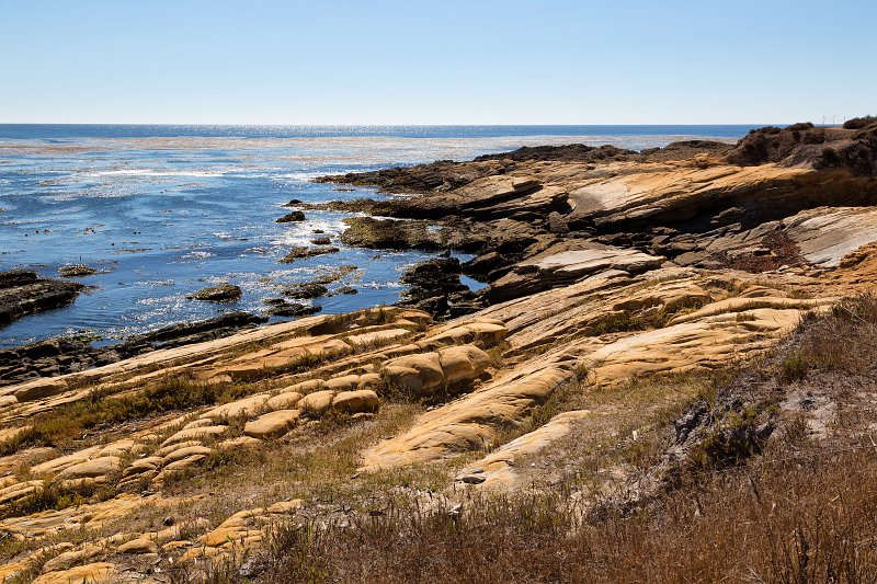 Weston Beach, Point Lobos, California | Point Lobos Natural Reserve, California (IMG_6797.jpg)