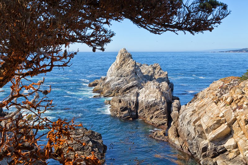 The Pinnacle, Point Lobos, California | Point Lobos Natural Reserve, California (IMG_6860.jpg)
