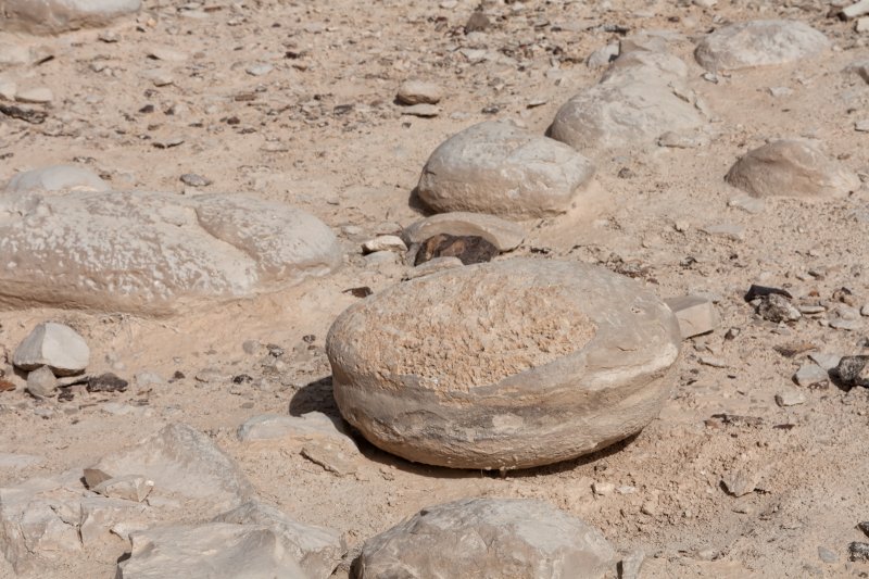 Potato shaped rocks, Mount Zin nature reserve | The Negev - a desert and semidesert region of southern Israel (IMG_4787.jpg)