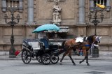 Horse and Carriage in Piazza Vigliena (Quattro Canti)