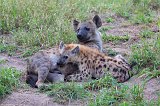 Female Spotted Hyena and Cub