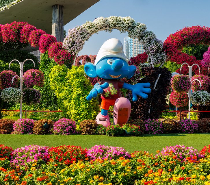 Dubai Miracle Garden, Dubai, UAE | Dubai Miracle Garden - Dubai, United Arab Emirates (UAE) (IMG_0356.jpg)