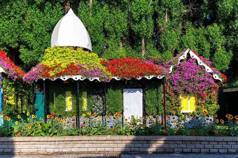 Dubai Miracle Garden, Dubai, UAE | Dubai Miracle Garden - Dubai, United Arab Emirates (UAE) (IMG_0367.jpg)