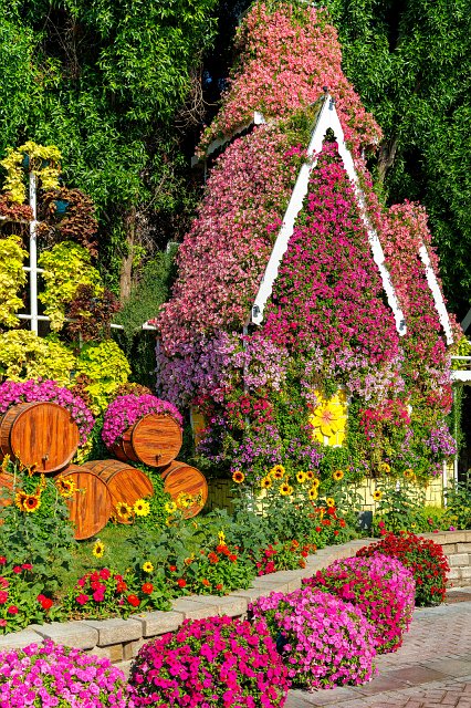 Dubai Miracle Garden, Dubai, UAE | Dubai Miracle Garden - Dubai, United Arab Emirates (UAE) (IMG_0369.jpg)
