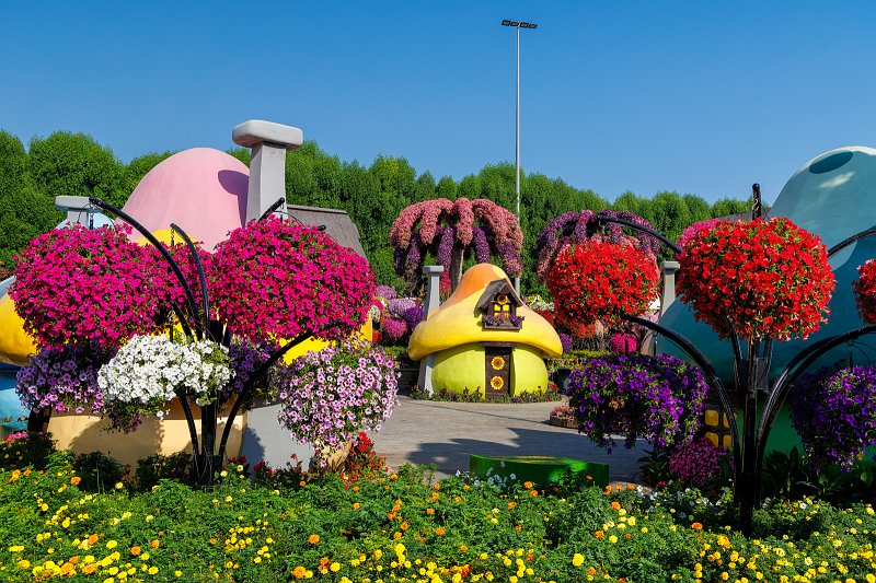 Dubai Miracle Garden, Dubai, UAE | Dubai Miracle Garden - Dubai, United Arab Emirates (UAE) (IMG_0372.jpg)