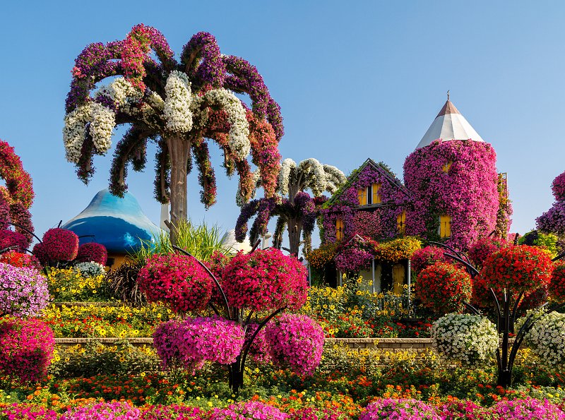 Dubai Miracle Garden, Dubai, UAE | Dubai Miracle Garden - Dubai, United Arab Emirates (UAE) (IMG_0374.jpg)