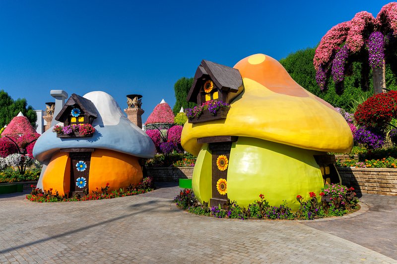 Dubai Miracle Garden, Dubai, UAE | Dubai Miracle Garden - Dubai, United Arab Emirates (UAE) (IMG_0392.jpg)