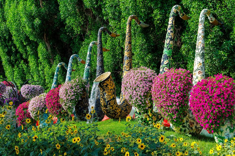 Dubai Miracle Garden, Dubai, UAE | Dubai Miracle Garden - Dubai, United Arab Emirates (UAE) (IMG_0397.jpg)