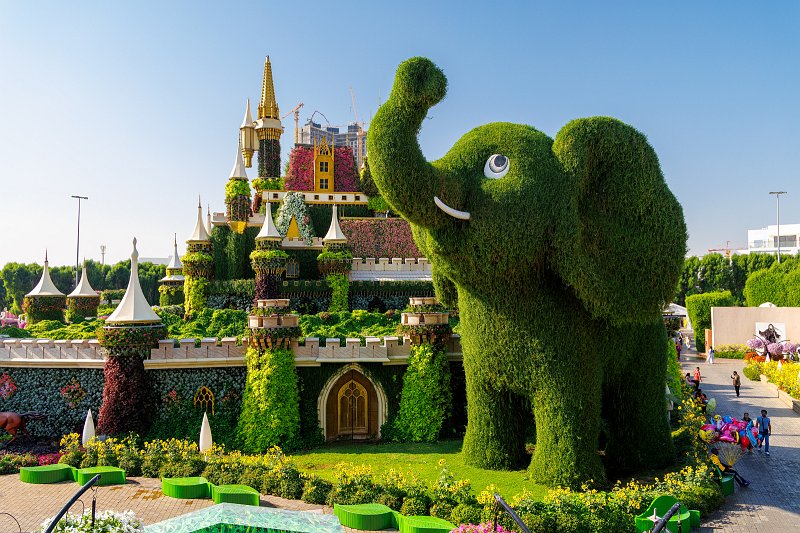 Dubai Miracle Garden, Dubai, UAE | Dubai Miracle Garden - Dubai, United Arab Emirates (UAE) (IMG_0407.jpg)