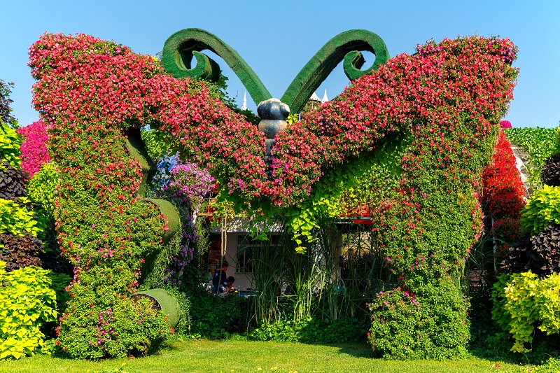 Dubai Miracle Garden, Dubai, UAE | Dubai Miracle Garden - Dubai, United Arab Emirates (UAE) (IMG_0418.jpg)