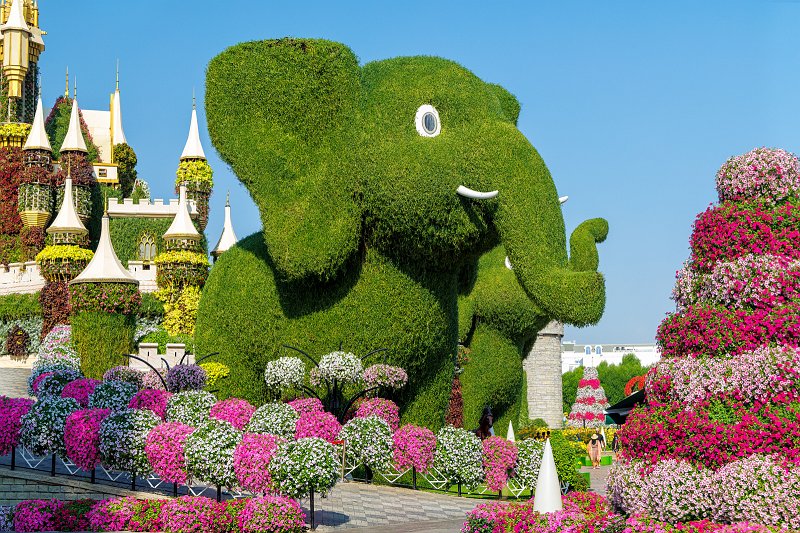 Dubai Miracle Garden, Dubai, UAE | Dubai Miracle Garden - Dubai, United Arab Emirates (UAE) (IMG_0420_21.jpg)