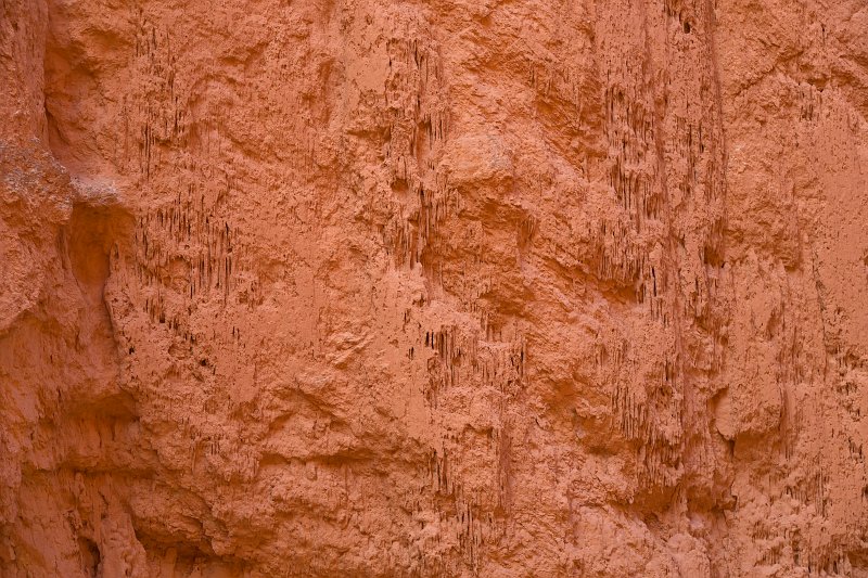 Closeup on a Hoodoo, Bryce Canyon National Park, Utah, USA | Bryce Canyon National Park - Utah, USA (IMG_6851.jpg)