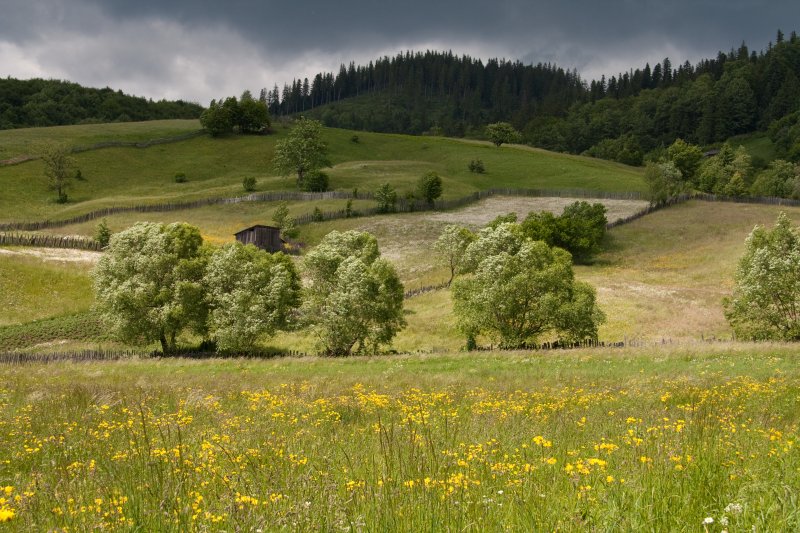 Gura Humorului in Spring (Suceava county) | Romanian Countryside (CO20-IMG_8527.jpg)