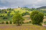 Gura Humorului landscape (Suceava county)