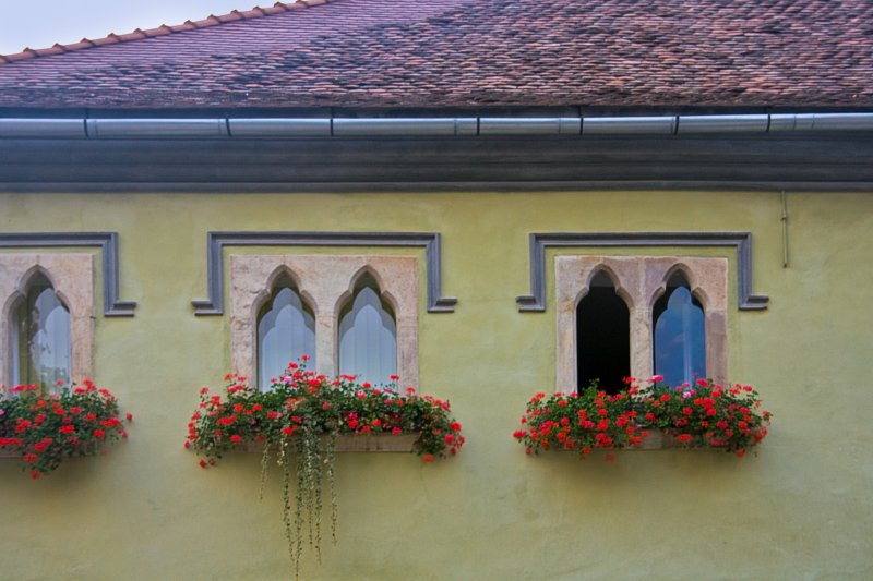 Doors, Windows and Gates (DW68-IMG_1219.jpg)