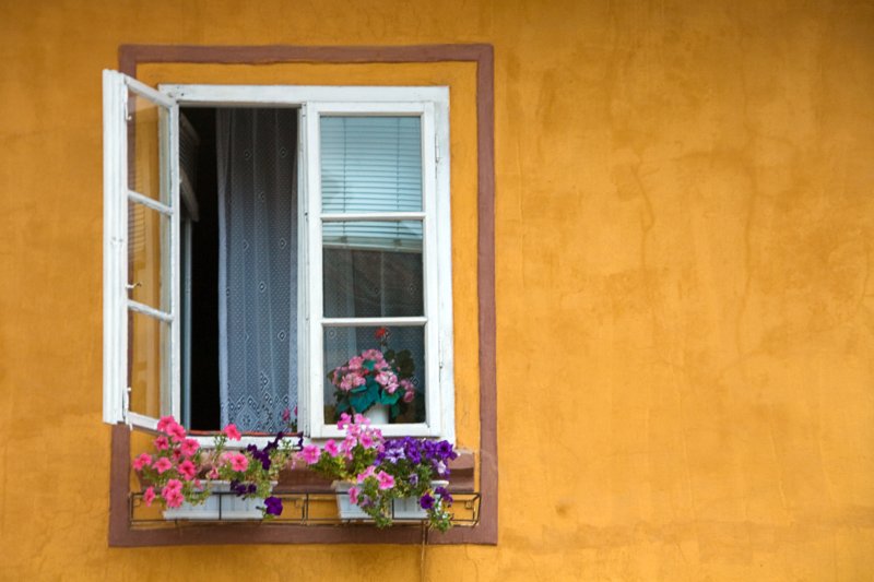 Doors, Windows and Gates (DW69-IMG_1234.jpg)