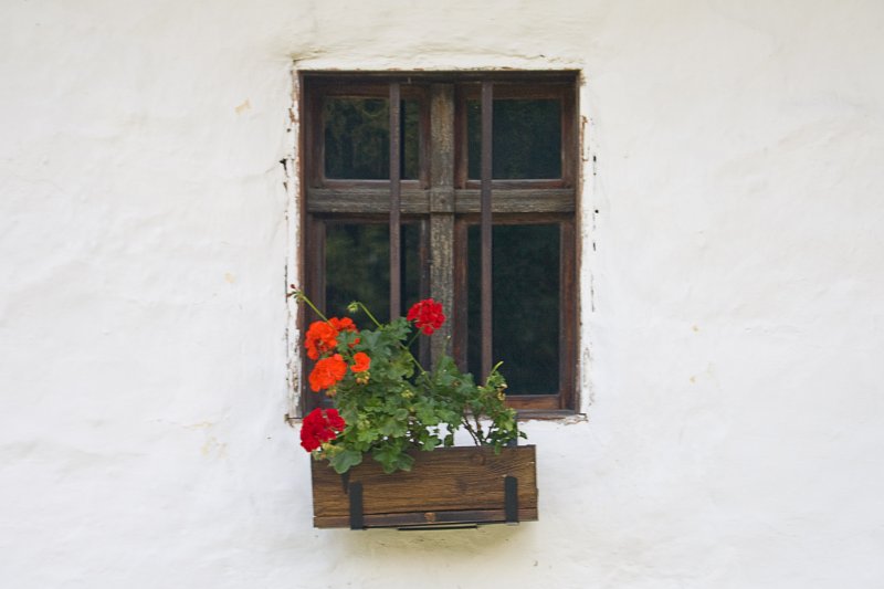 Doors, Windows and Gates (DW76-IMG_1922.jpg)