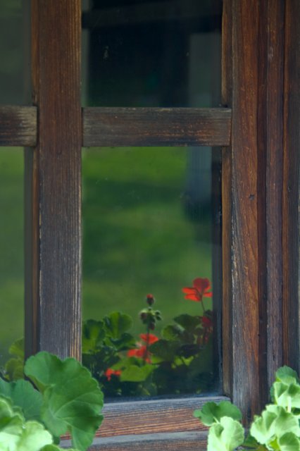 Doors, Windows and Gates (DW77-IMG_1927.jpg)