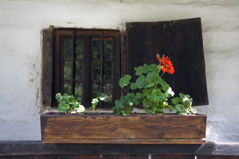 Doors, Windows and Gates (DW78-IMG_1928.jpg)