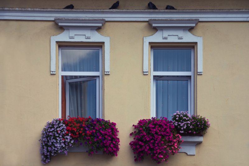 Doors, Windows and Gates (DW92-IMG_1588.jpg)